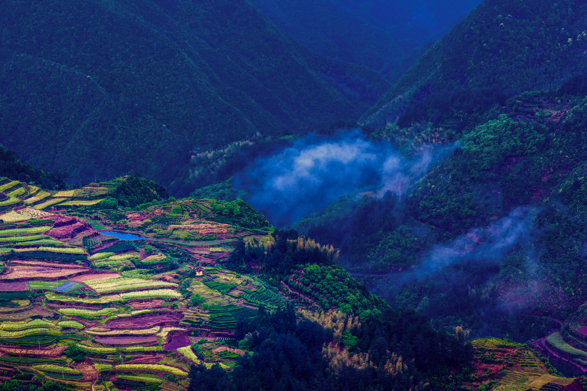 摄图网_500473004_banner_高山里的五色梯田（非企业商用）.jpg